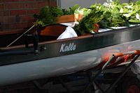 Kalle